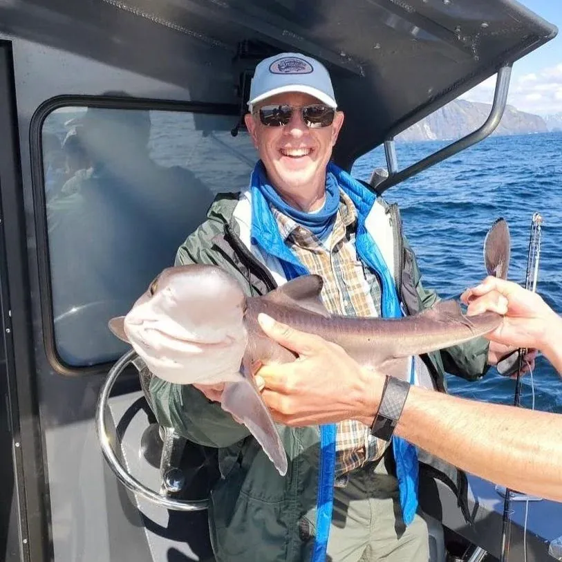 Book Your Fishing Charter - Big Butt Charters Homer Alaska